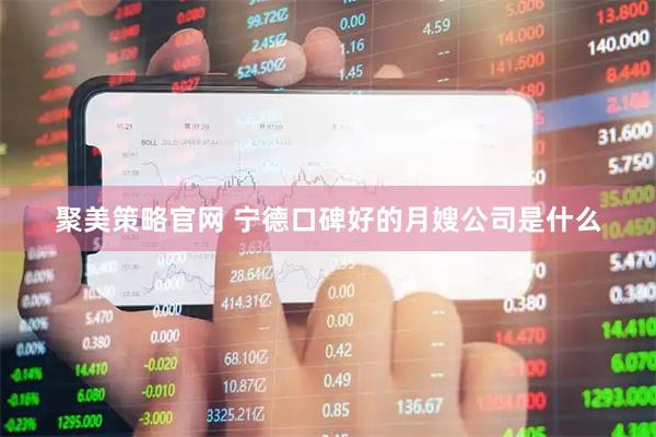 聚美策略官网 宁德口碑好的月嫂公司是什么