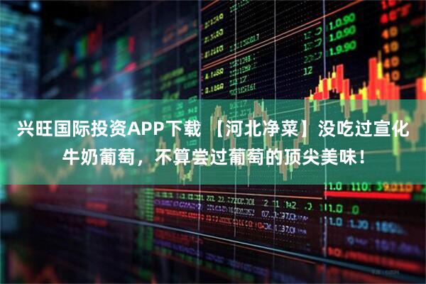 兴旺国际投资APP下载 【河北净菜】没吃过宣化牛奶葡萄，不算尝过葡萄的顶尖美味！