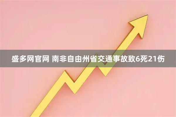 盛多网官网 南非自由州省交通事故致6死21伤