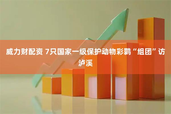 威力财配资 7只国家一级保护动物彩鹮“组团”访泸溪